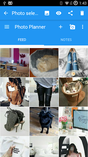 Feed Master скриншот 5