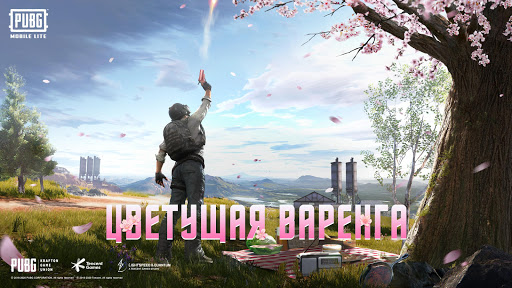 PUBG MOBILE LITE скриншот 1