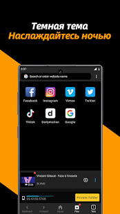 Бесплатный загрузчик видео скриншот 6