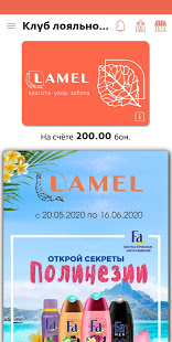 LAMEL скриншот 3