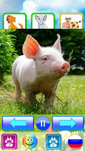 Звуки животных - учим зверей скриншот 3