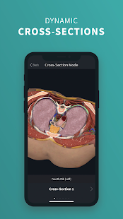 Complete Anatomy 2024 скриншот 4