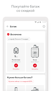 Red Wings скриншот 6