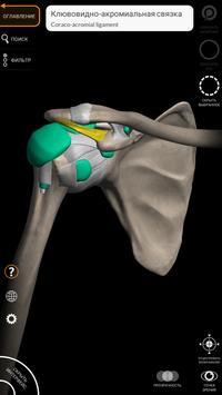 Анатомия - 3D Атлас скриншот 5