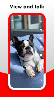 Camy — Видео мониторинг скриншот 5