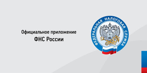 Налоги ФЛ скриншот 1