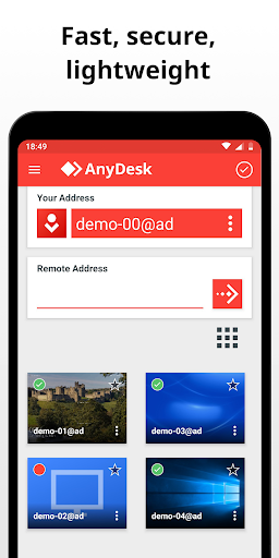 AnyDesk скриншот 2