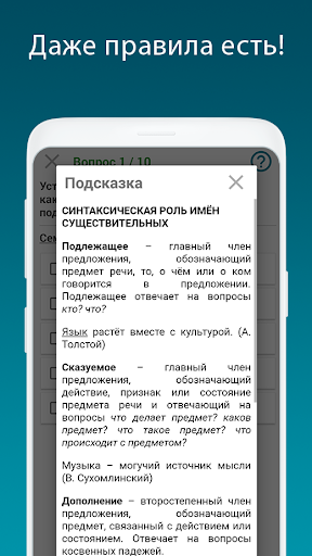Русский язык - тесты ЕГЭ, ЦТ скриншот 4