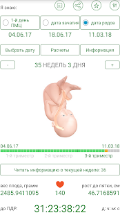 Календарь беременности скриншот 6