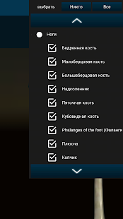 Osseous System 3D (анатомия) скриншот 5