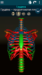Osseous System 3D (анатомия) скриншот 6