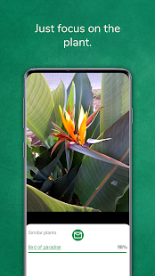 Распознавание растений скриншот 4