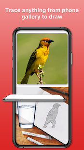 Trace & Draw: Trace to sketch скриншот 5