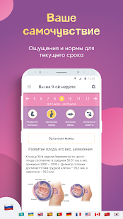 amma: Календарь беременности скриншот 3