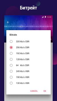 Видео в MP3 конвертер скриншот 3
