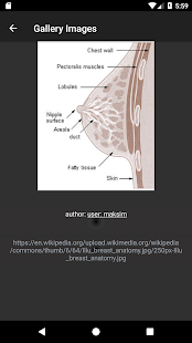 Все заболевания Free скриншот 5