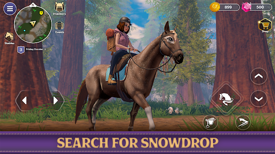Star Equestrian - Horse Ranch скриншот 4