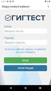 ГИГТЕСТ скриншот 2