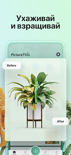 PictureThis растения признать скриншот 5