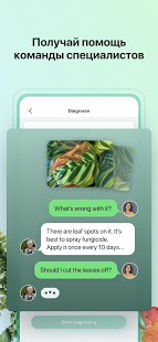 PictureThis растения признать скриншот 6
