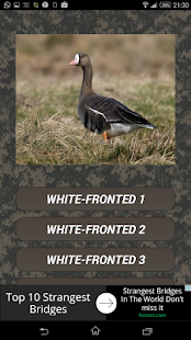 Гусиный манок скриншот 2