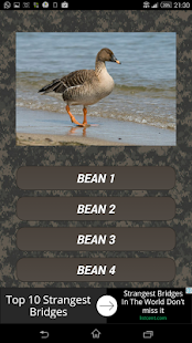 Гусиный манок скриншот 3