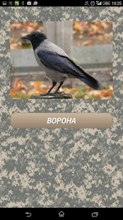 Гусиный манок скриншот 4