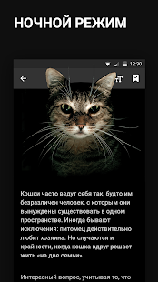 Новости Mail.Ru скриншот 5