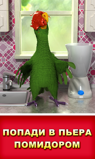 Говорящий Пьер скриншот 3