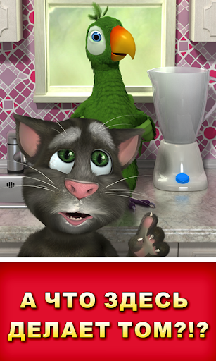 Говорящий Пьер скриншот 4