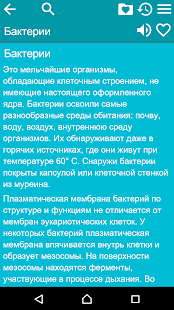 Шпаргалки скриншот 4