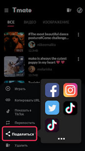 Tmate скриншот 6