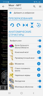 e-Anatomy скриншот 5