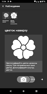 Flora Incognita скриншот 4
