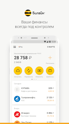 Карта Билайн скриншот 2