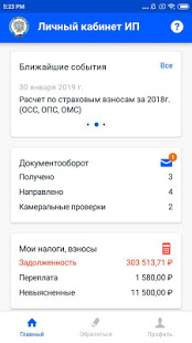 Личный кабинет предпринимателя скриншот 3
