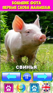 Звуки для малышей и детей скриншот 4