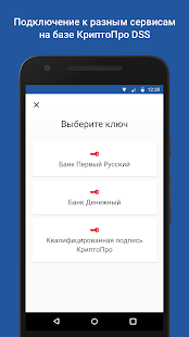 myDSS скриншот 3