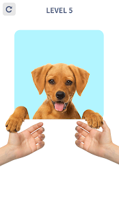 Brain Puzzle: 99 Games скриншот 4