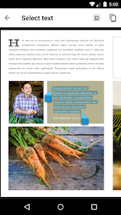 Google PDF Viewer скриншот 3