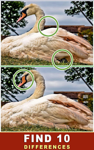 Найди отличия скриншот 2