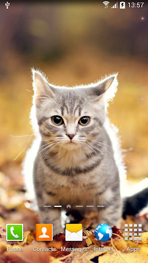 Кот Живые Обои скриншот 1