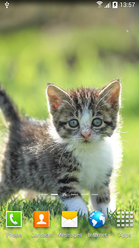 Кот Живые Обои скриншот 2