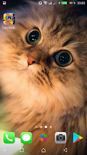 Kawaii Cats Wallpapers - Cute Backgrounds скриншот 3