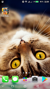 Kawaii Cats Wallpapers - Cute Backgrounds скриншот 5