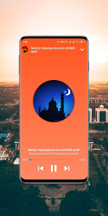 Shayx Muhammad Sodiq Muhammad Yusuf maruzalari MP3 скриншот 4