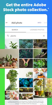 Adobe Express скриншот 6