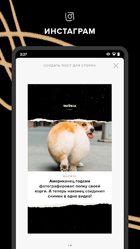 meduza скриншот 5