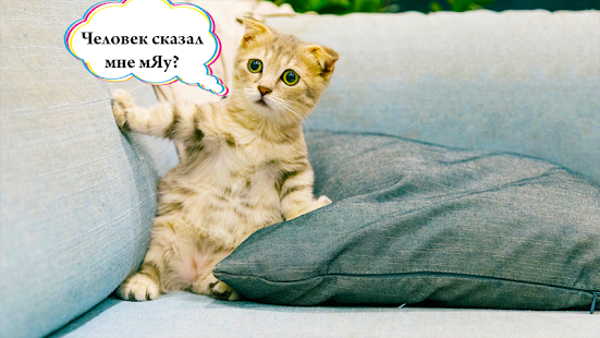 Кошачий переводчик скриншот 3